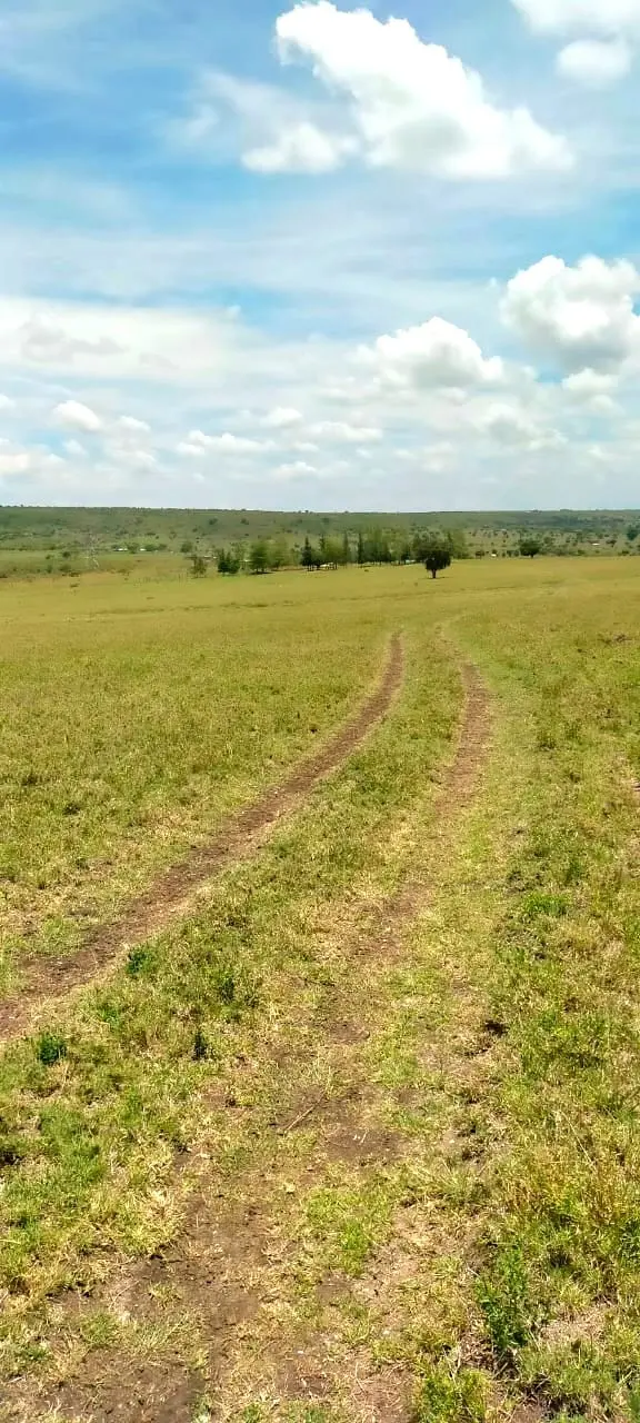 70 Acres in Kitengela, Acacia
